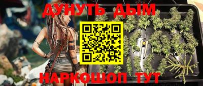 мдпв Ливны