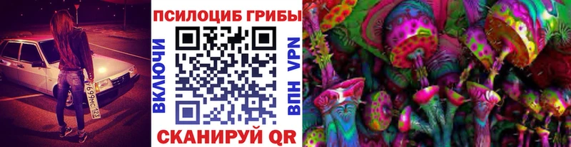 Псилоцибиновые грибы прущие грибы наркотики Прокопьевск