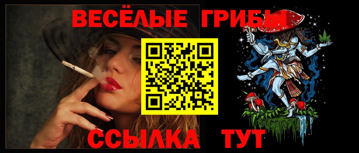 Псилоцибиновые грибы Psilocybine cubensis Прокопьевск